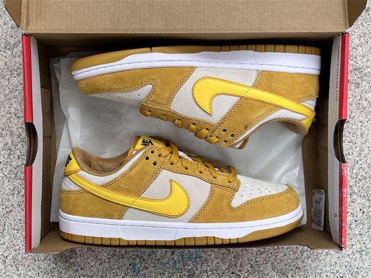 nike SB Dunk 1